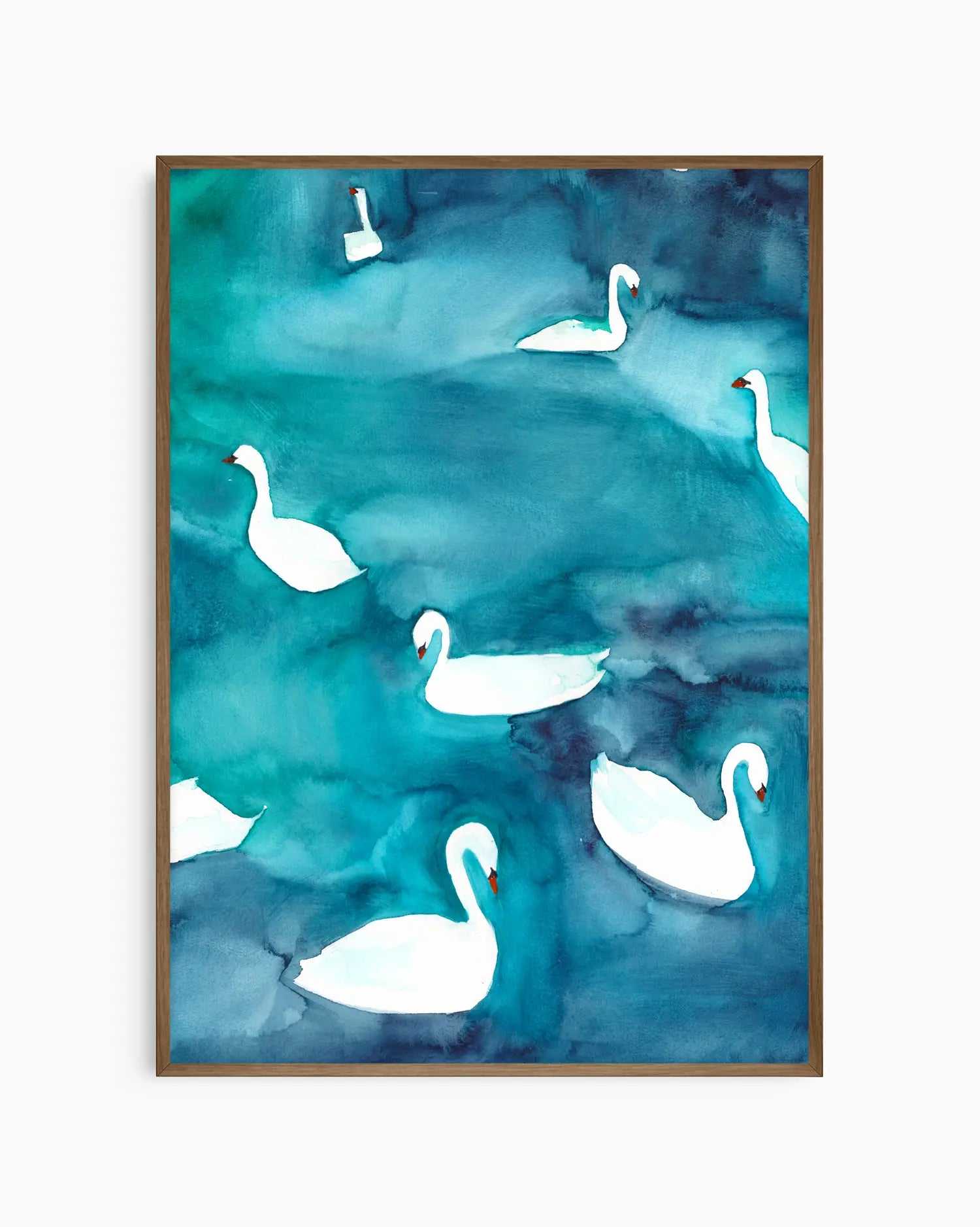 Framed artwork of white swans on a blue watercolor background