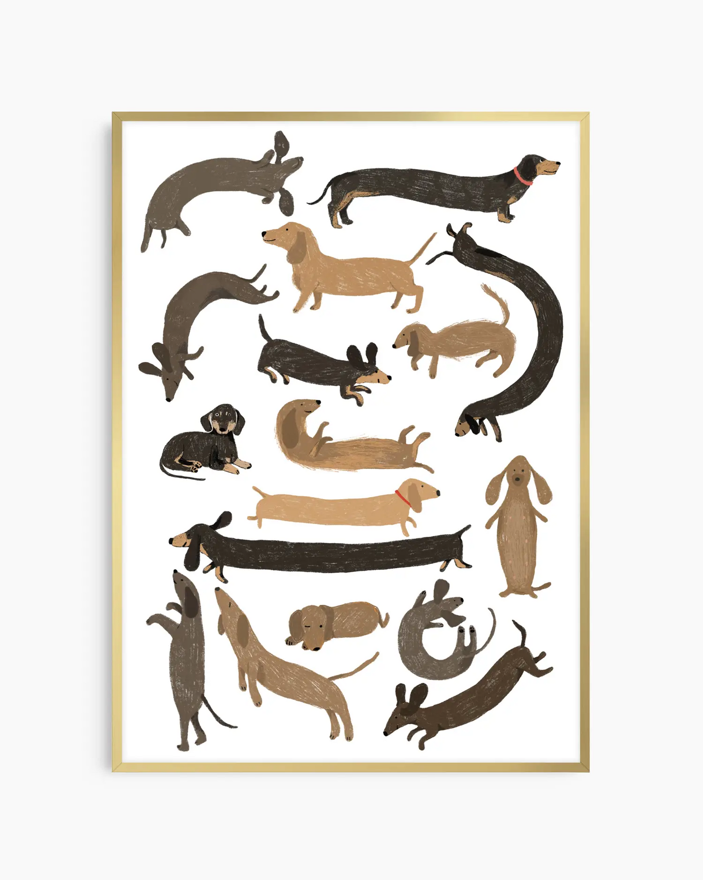 Framed artwork of various dachshund illustrations on a white background