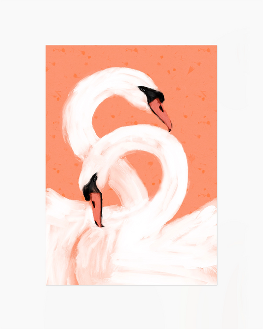 Two white swans forming a heart shape on a coral background
